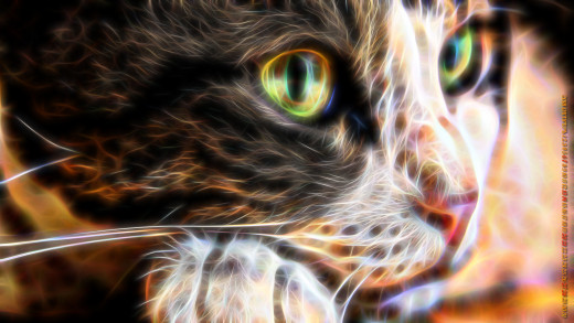 1397996 (a): :1920x1080